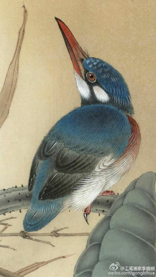 【北京浴桐堂·翠鸟工笔画法】