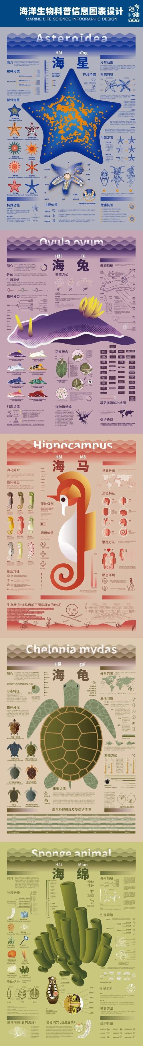 作品视频信息可视化图表设计是一个极具实用价值的设计门类.