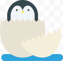 破壳而出矢量卡通风格企鹅