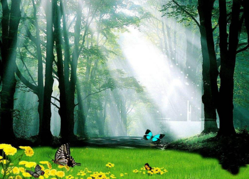 洪易师傅:八字五行之中缺木该怎么办?