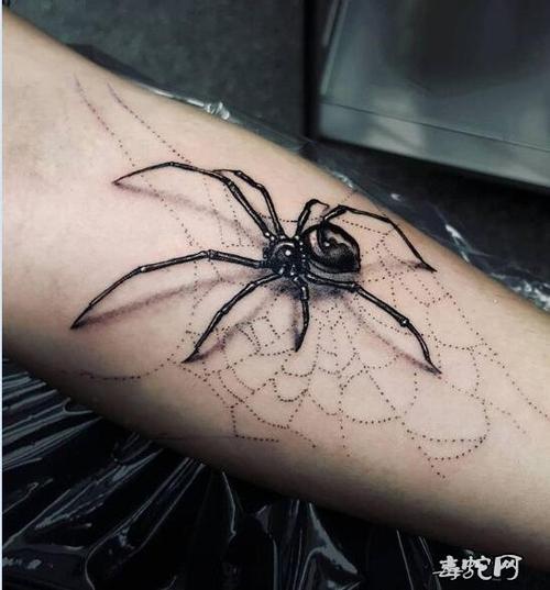 蜘蛛纹身图片大全蜘蛛纹身代表什么意思