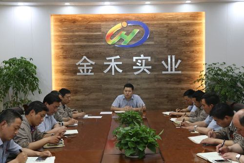 目标与战略 - 关于我们 - 安徽金禾实业股份有限公司