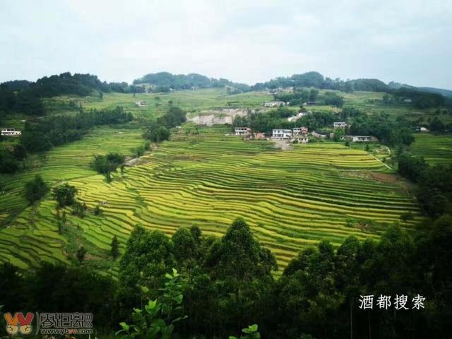 高县沙河镇上古村:百年古庙,女娲石,宜宾第一柠檬基地