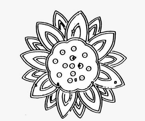 莲花,荷花,花,图案,蓝莲花