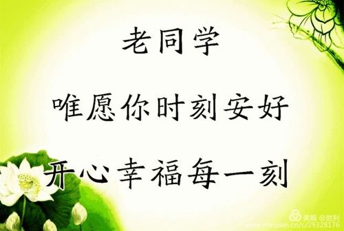 文字素材 - 美篇