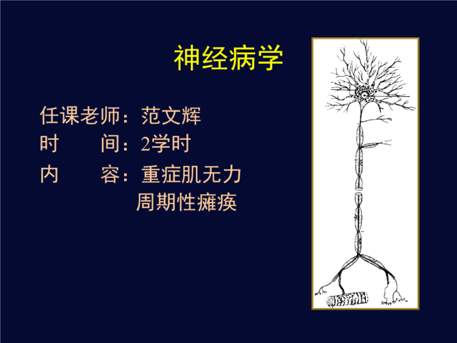 重症肌无力3.ppt