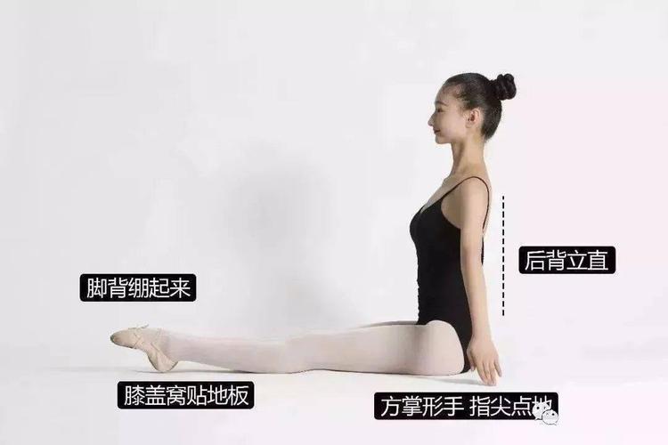 基 本坐姿·绷脚正步位伸坐