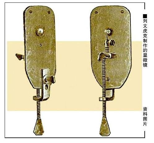 列文虎克和显微镜的手抄报 手抄报图片大全