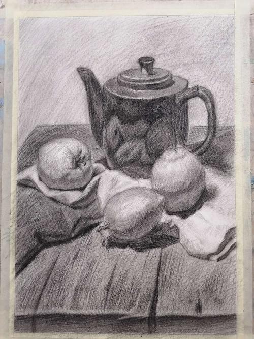 七中学生素描临摹