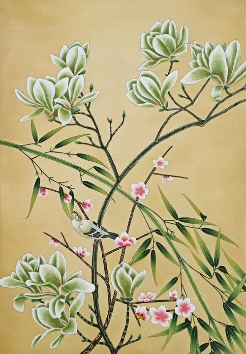 工笔画玉兰花
