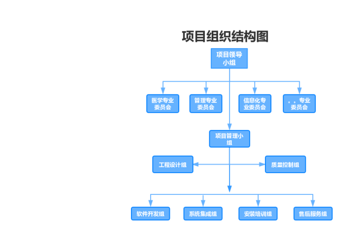 项目组织结构图