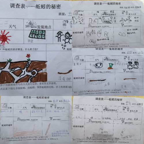 设计发放调查表,引导幼儿有意识地进行观察和记录.