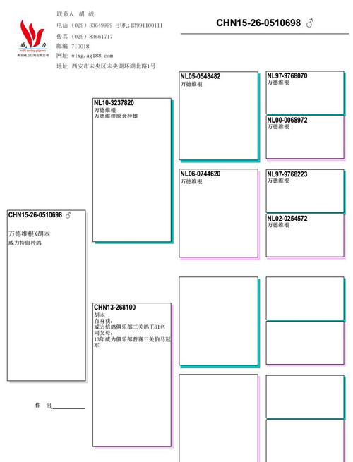 搜鸽网-信鸽交易平台