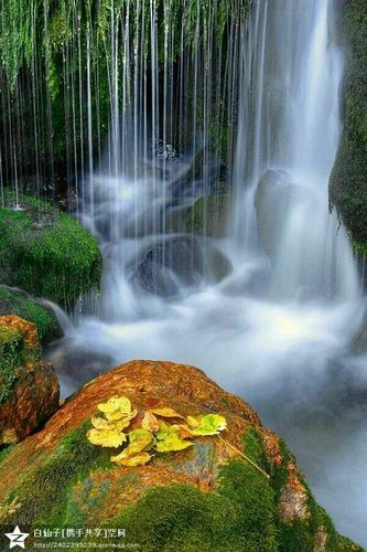 柔情似水涟漪,爱意如花娇美.春色醉人!