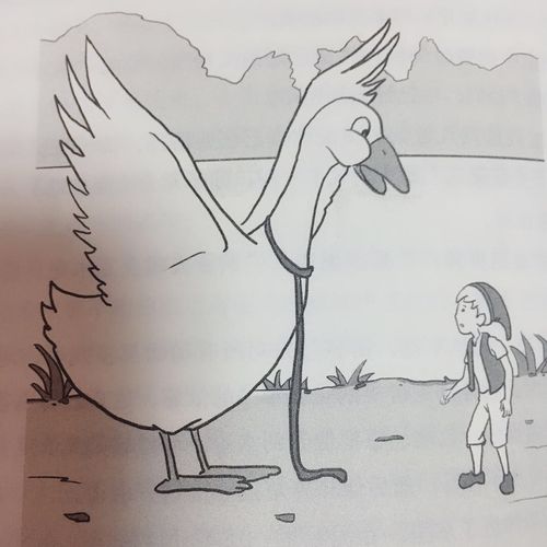 《尼尔斯骑鹅旅行记》读后感 三年八班程诺希