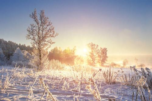 圣诞节和新年时间.清晨阳光明媚的风光冬日