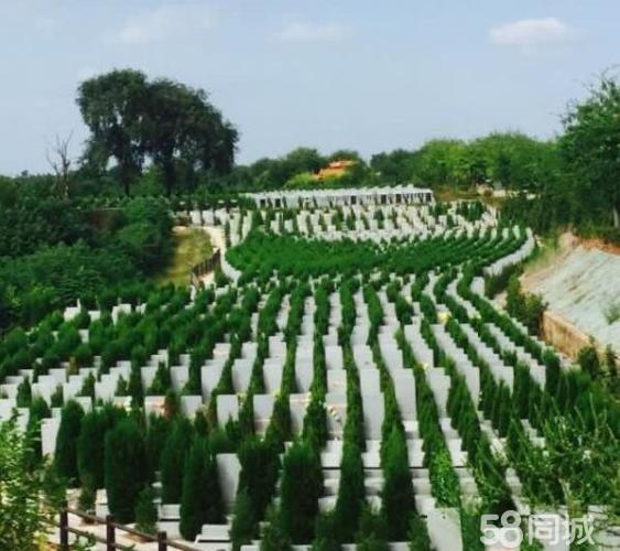 武汉市龙泉山孝恩园,免费选墓,周末扫墓班车