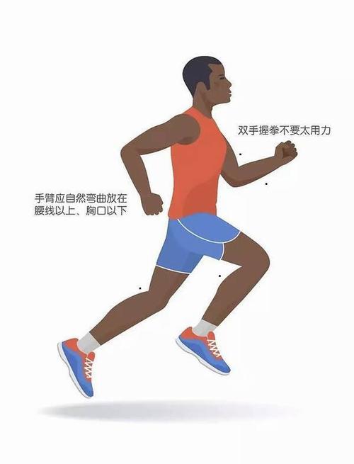 内容包含有体育 正文  跑步动作要领--摆臂应是以肩为轴的前后动作