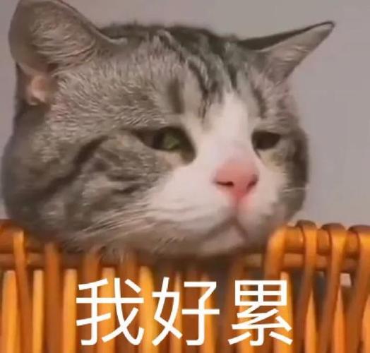 沙雕表情包|我好累