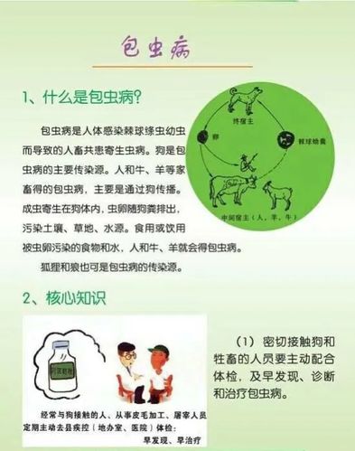 预防包虫病主题活动——甘孜县第二幼儿园