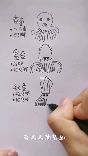 李点点简笔画_简笔画_鱿鱼_简笔画教程_知识_艺术