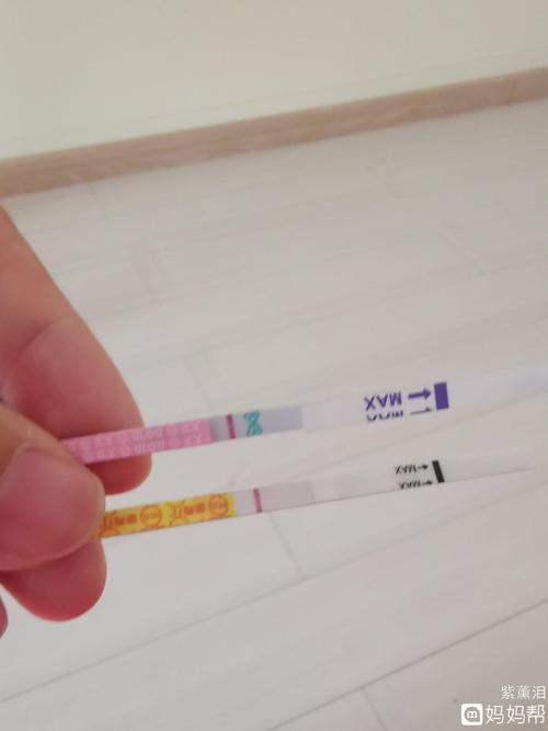 排卵第十天,连排卵试纸都白得发光,我是不