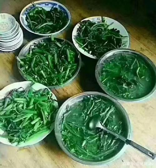 各种搞笑食物大吐槽,我相信你看到这样的食物,应该不