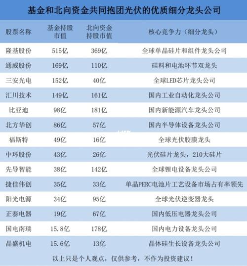 基金和北向资金共同抱团光伏龙头公司