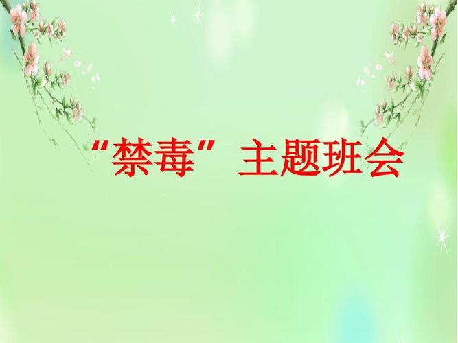 禁毒主题班会背景ppt