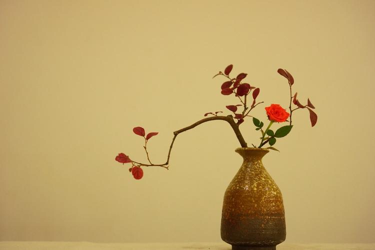 五韵中式花道 - 堆糖,美图壁纸兴趣社区