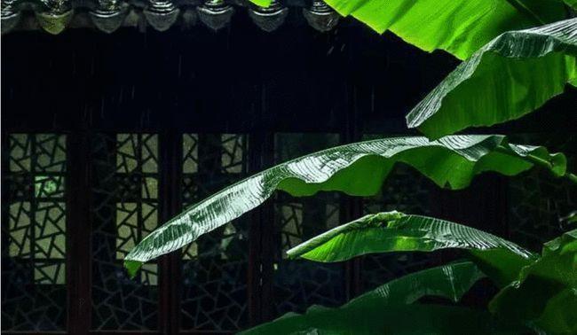 【诗词鉴赏】雨打芭蕉夏日长,在古诗词里品芭蕉,别有风味!