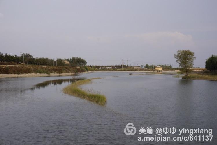 山阴桑干河湿地公园