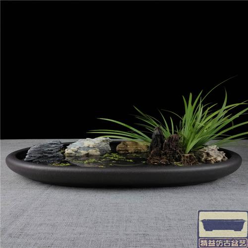 宜兴紫砂花盆无孔紫砂水底水盆上水吸水石盆假山附石菖蒲盆腰圆盆