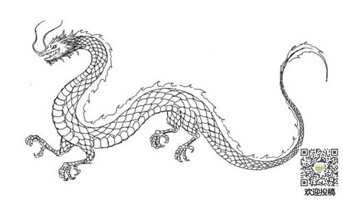 霸气的龙简笔画图片龙儿童绘画作品图集