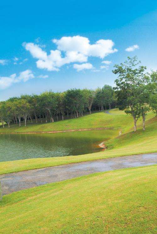 高尔夫球场景色图片景色高尔夫运动场地球场
