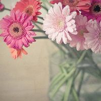 带清香的鲜花小清新个性头像