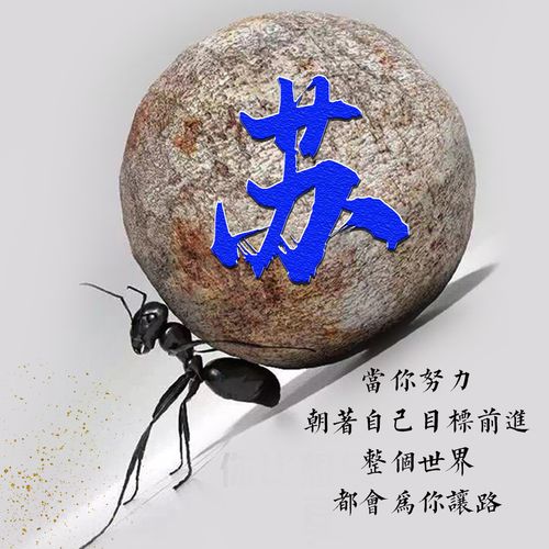 编号1747:20张免费姓氏,2020勇往直前-微信头像,氏