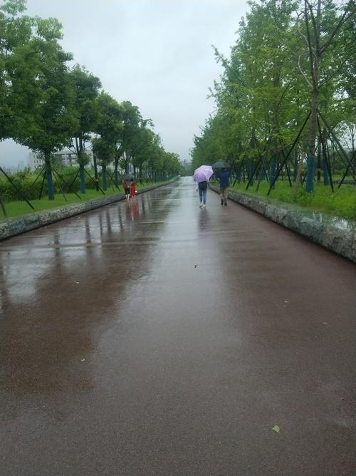 雨中漫步中南校园,长沙街市,烟雨蒙蒙,暮霭沉沉,别有一番情韵.