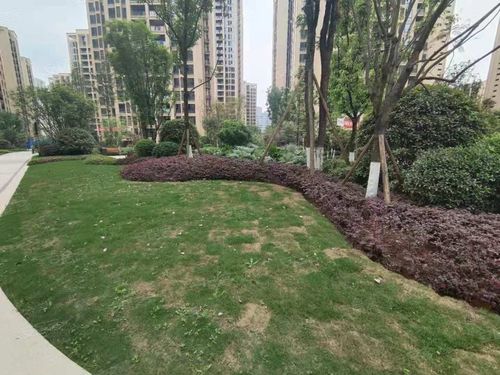 白沙翡翠城,护国路-宜宾白沙翡翠城二手房,租房,房价