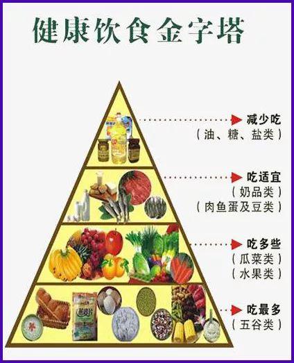 首先我们要掌握各种食物的热量,根据食物热量来调整一日三餐