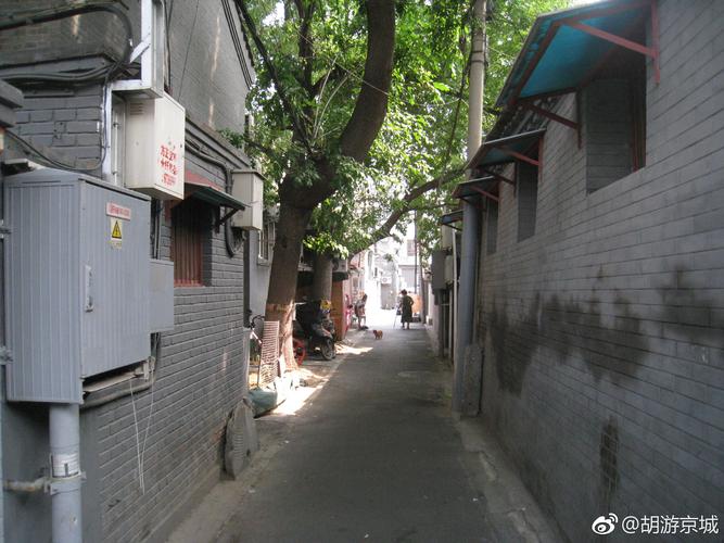 721,大鹁鸽胡同,北起小鹁鸽胡同,南行西折至王府井大街