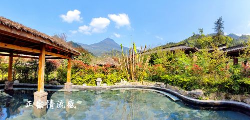 原创春来金佛山放纸鸢尝春味泡温泉享亲子好时光
