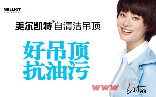 卫厨集成吊顶行业最具影响力的品牌企业之一,影视巨星孙俪倾情代言