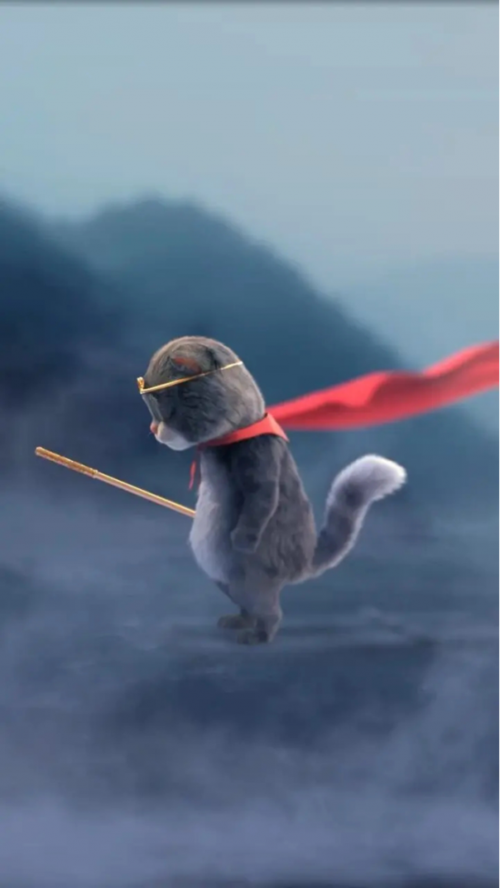 网红斑布猫来喽!孩子们的贴心小伙伴