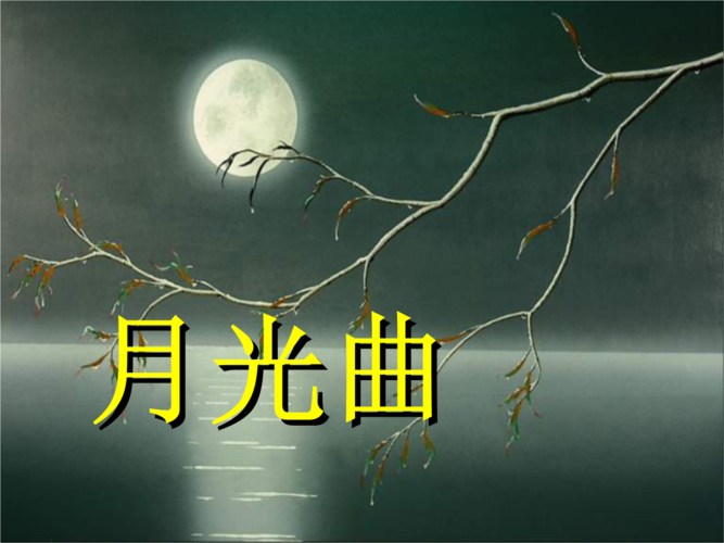 王玲湘 《月光曲课件》.ppt