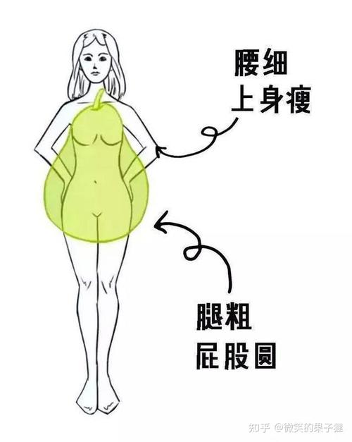 (3)苹果型身材塑形