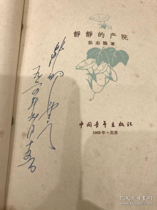 静静的产院1963年
