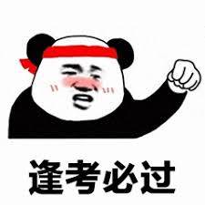 考试期间不要教我真名请叫我过儿表情包