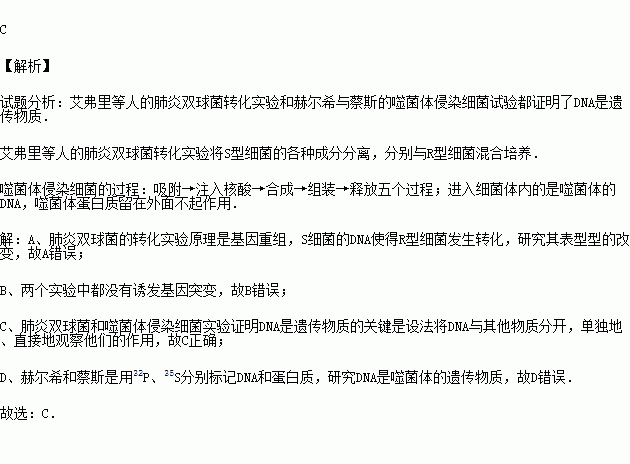 艾弗里等人的肺炎双球菌转化实验和赫尔希与蔡斯的噬菌体侵染细菌试验