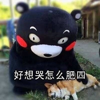 好想哭怎么肥四 - 斗图表情包 - 装逼达人